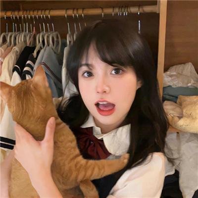 政界疑云