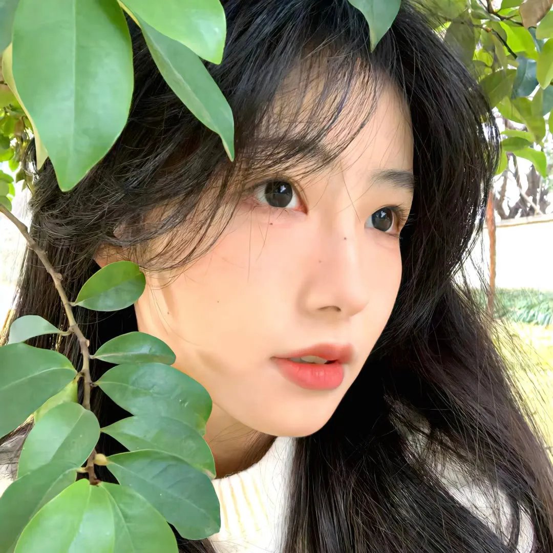 梦寻桃花源